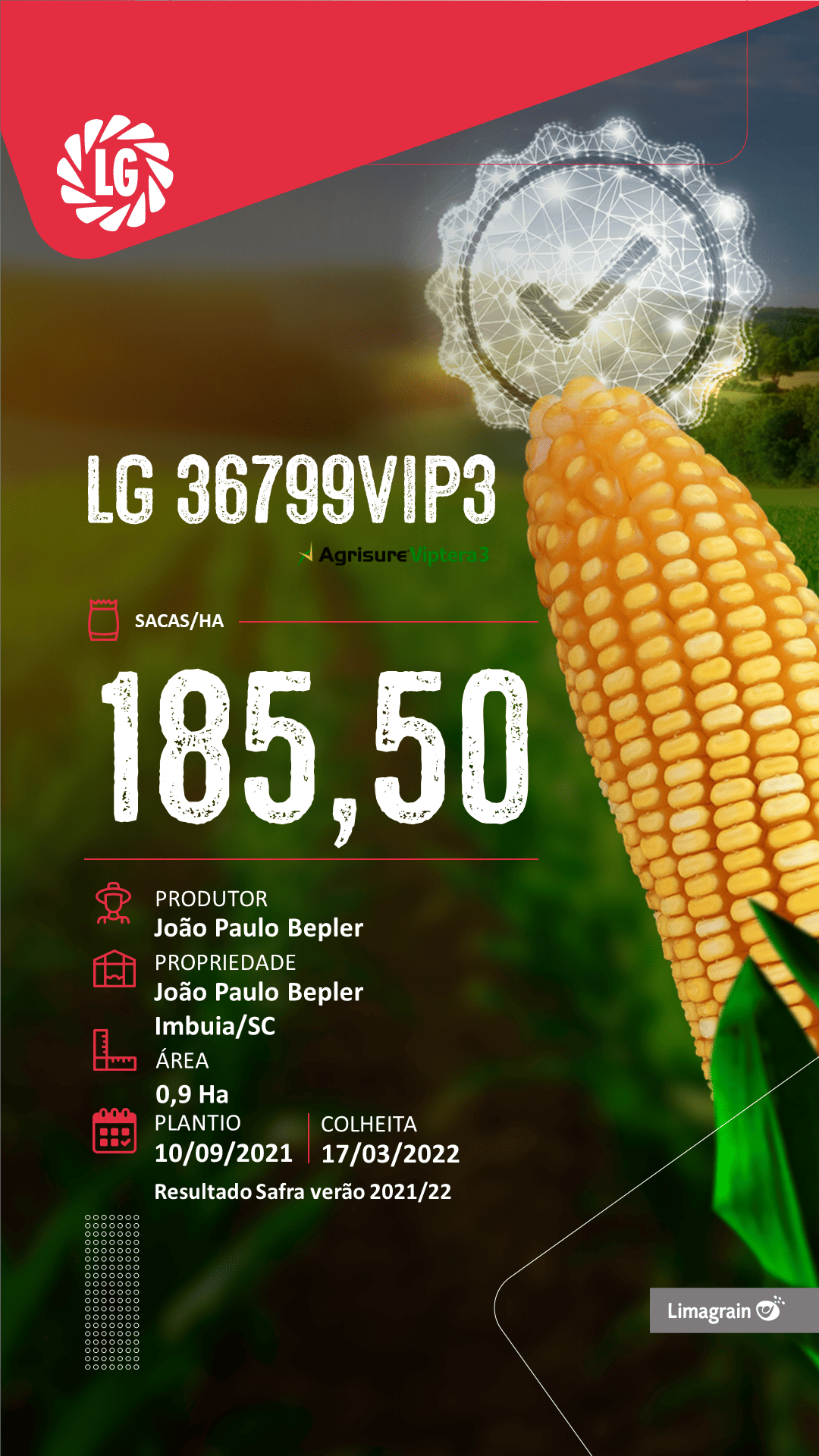 resultado-de-produtividade-36799